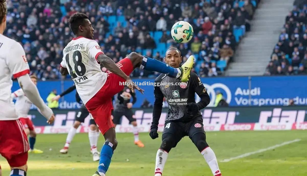 汉堡主场失利,降低保级前景 汉堡主场失利,降低保级前景