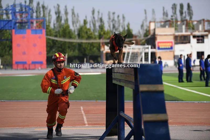 宁夏队全力以赴,取得半决赛资格 宁夏队全力以赴,取得半决赛资格