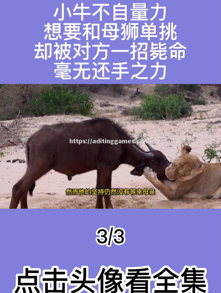 开云体育-快速反击，对方毫无还手之力